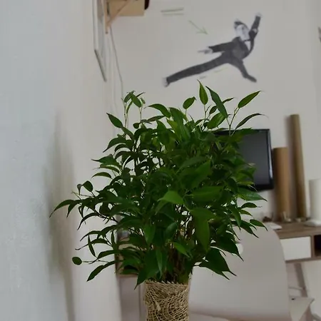Apartament Green & Orange